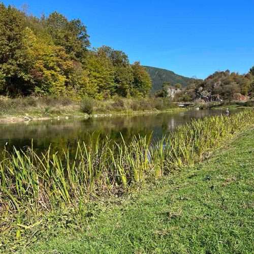 Fly Fishing Bosna - river Pliva