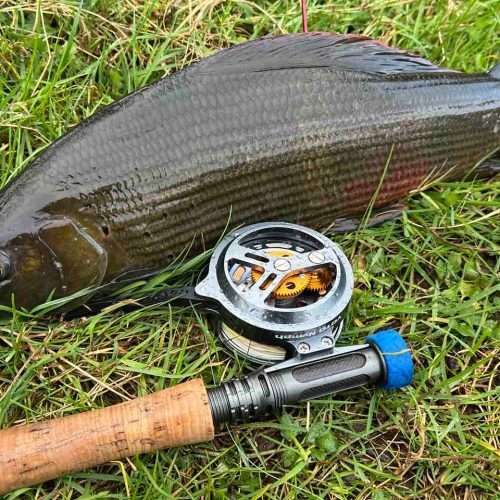 Fly Fishing Bosna - river Pliva