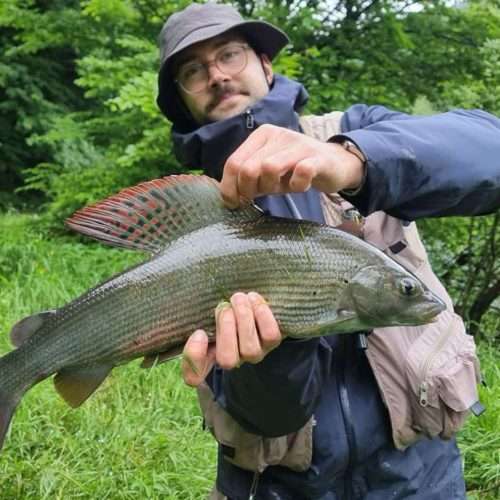 Fly Fishing Bosnia, river Ribnik
