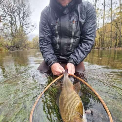 Fly Fishing Bosnia, river Ribnik
