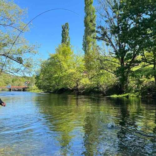 Fly Fishing Bosnia, river Ribnik