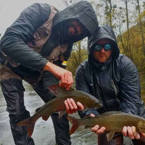 Fly Fishing Bosnia, river Ribnik