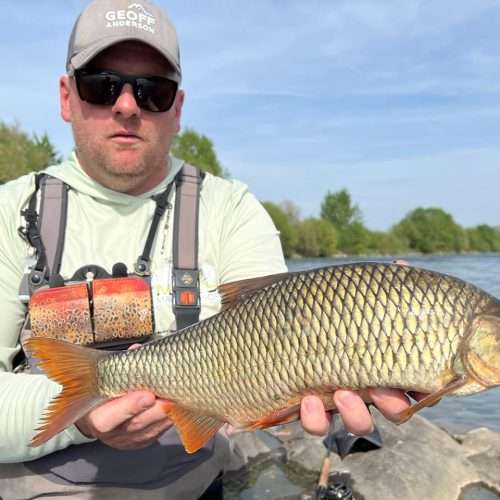 Fly Fishing Bosnia - river Vrbas