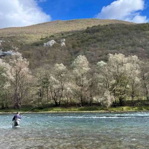 Fly Fishing Bosnia - river Vrbas